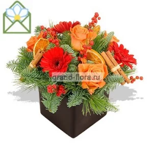 Оранжевое настроение